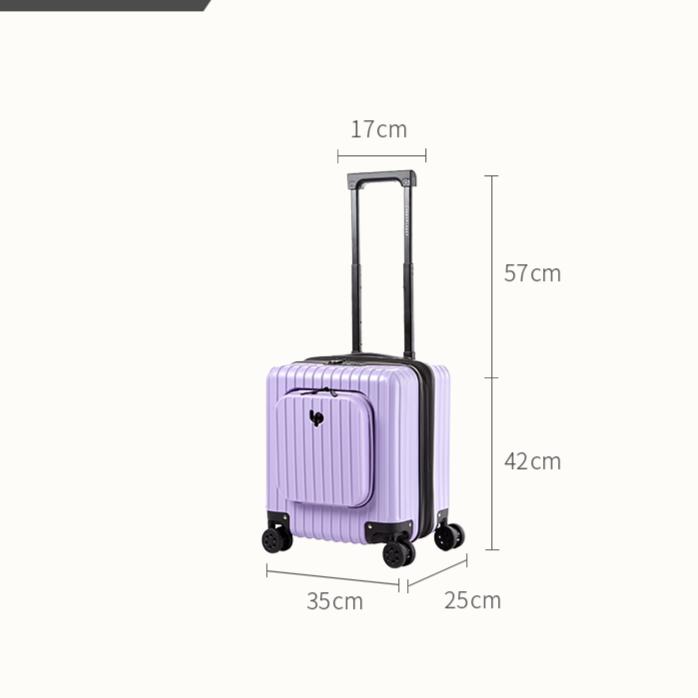 Go Beyond 17" Carry-On Purple Expendable Zipper