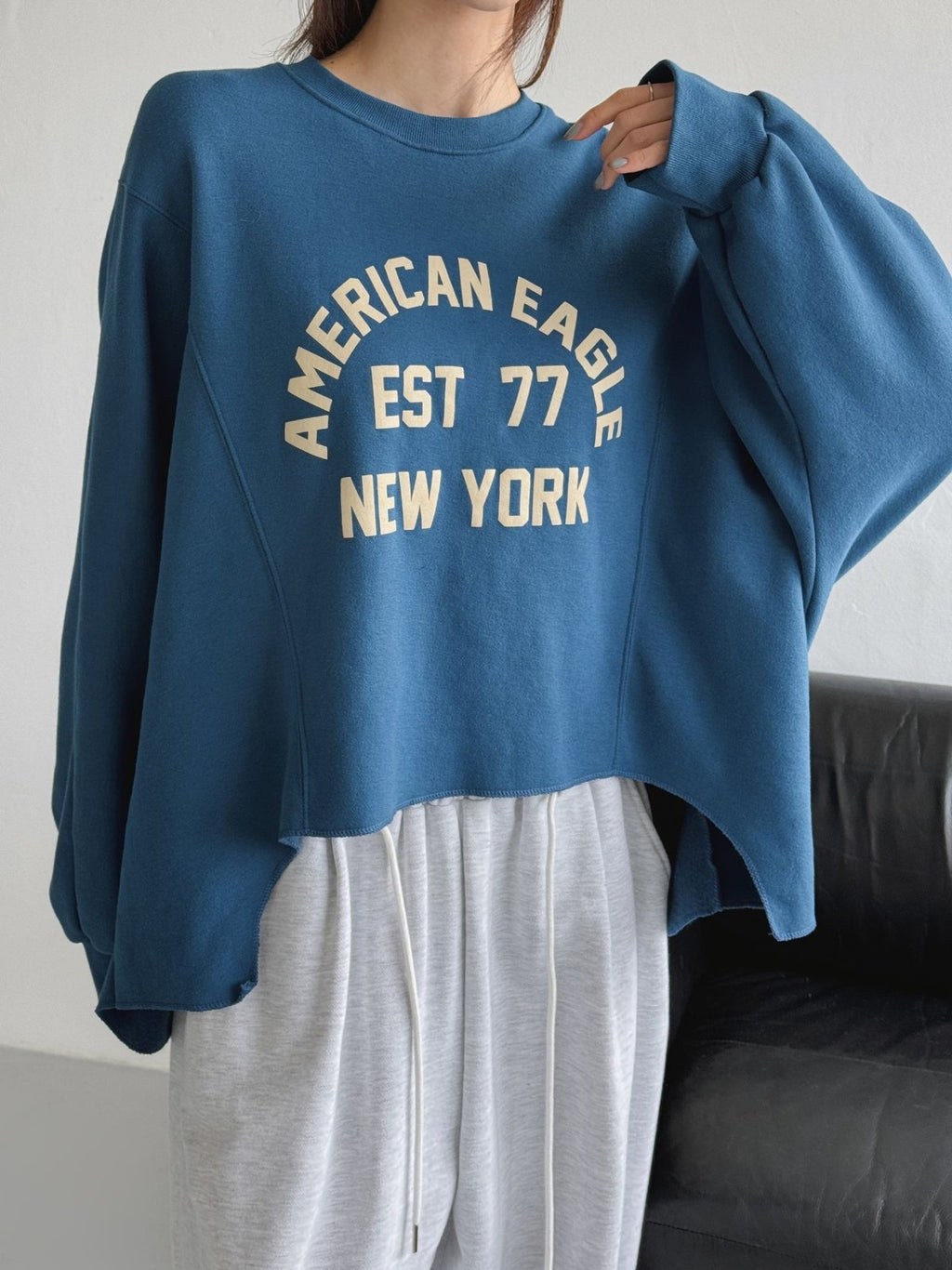 American Eagle ’77 Retro Cut Sweatshirt