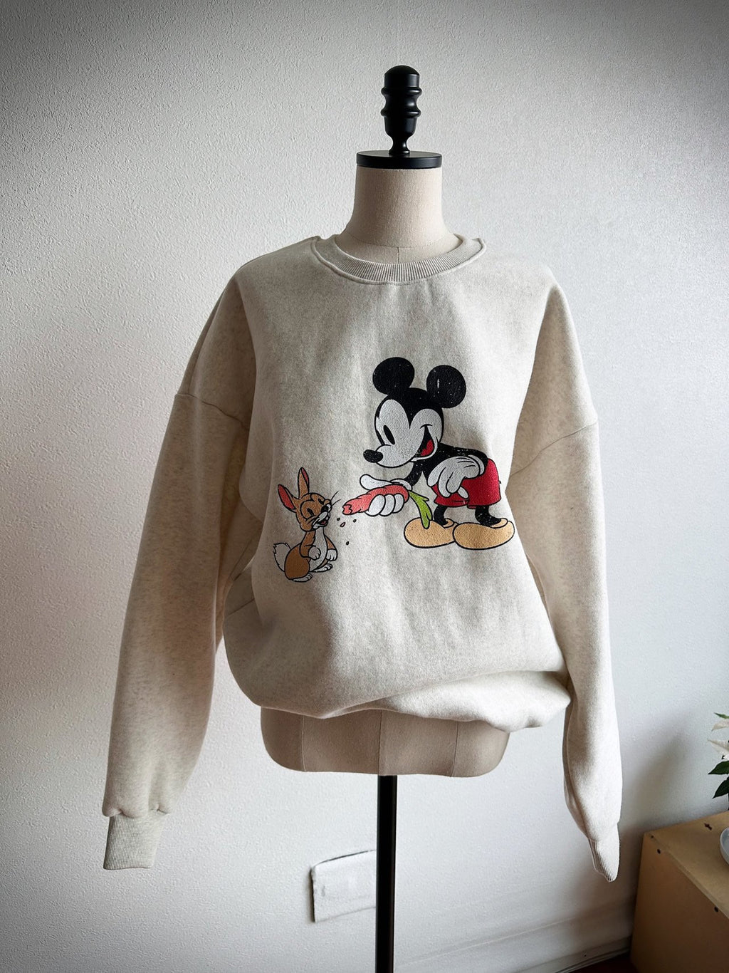 Mickey & Friends Cozy Fleece Sweatshirt Made in Korea Disney officially licensed