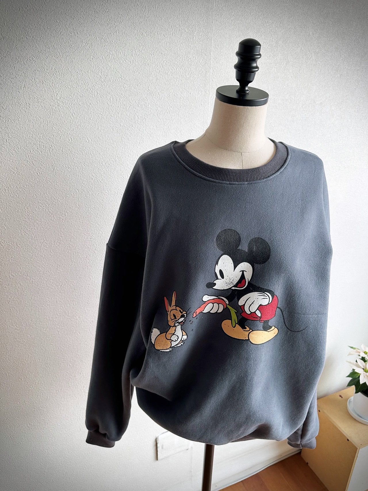 Mickey & Friends Cozy Fleece Sweatshirt Made in Korea Disney officially licensed