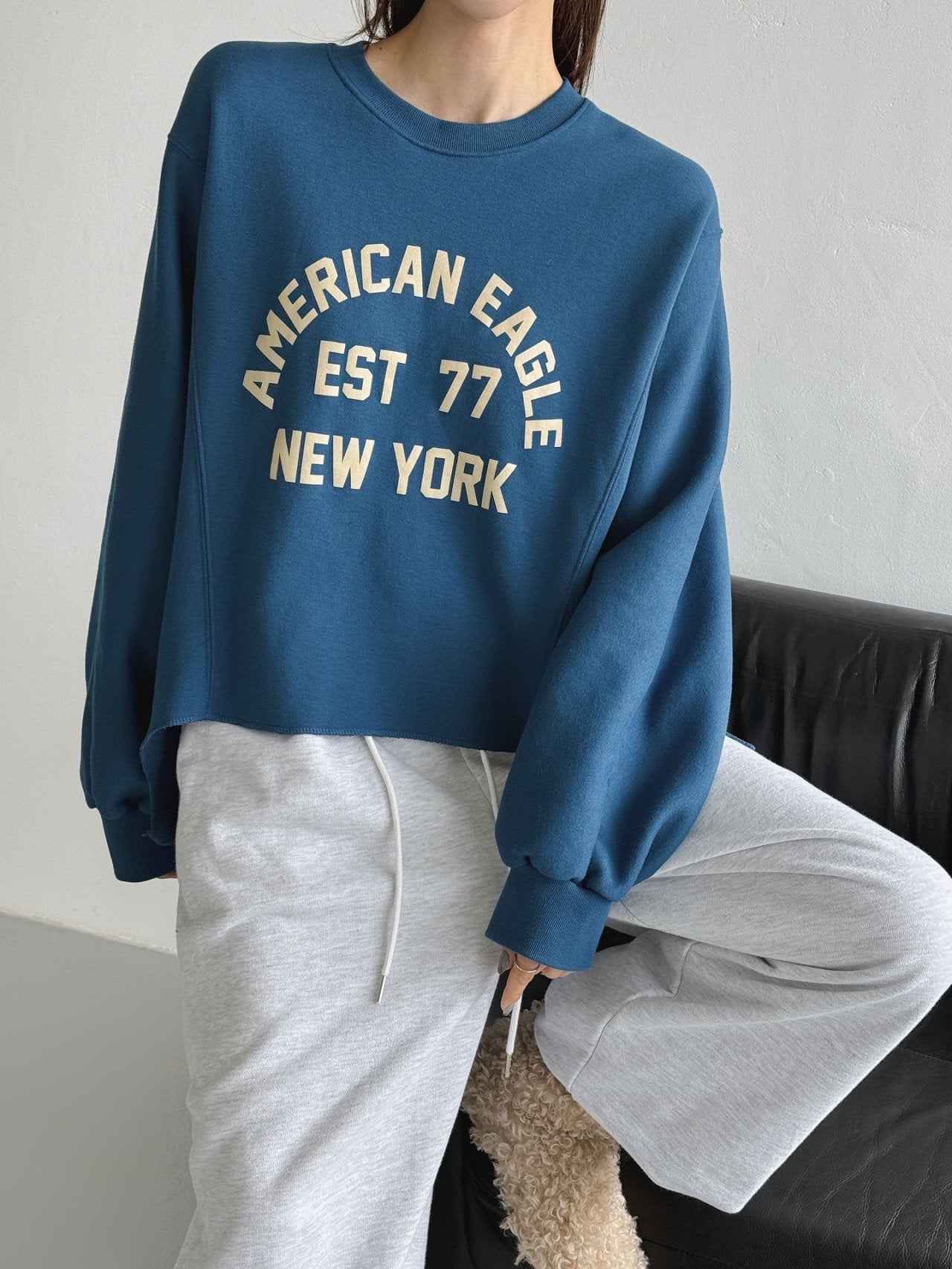 American Eagle ’77 Retro Cut Sweatshirt