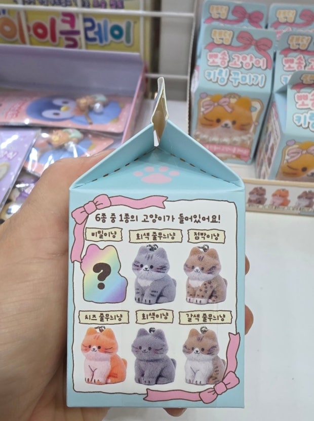Fluffy Cat DIY Keychain Kit – Surprise Blind Box Charm 6PC Set - Luckyplanetusa