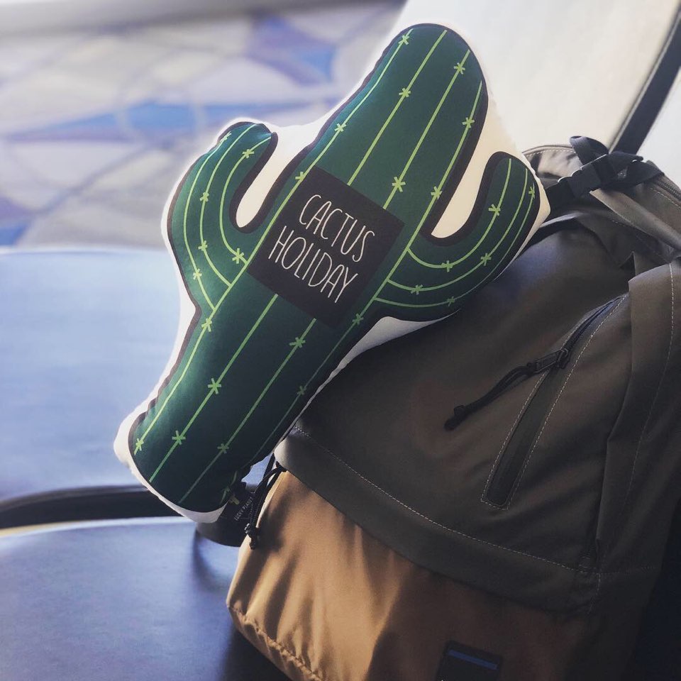 LUCKY PLANET 2 in 1 Travel Neck Pillow Cushion -Cactus Transform to Neck Cushion/Luggage Holding - Luckyplanetusa