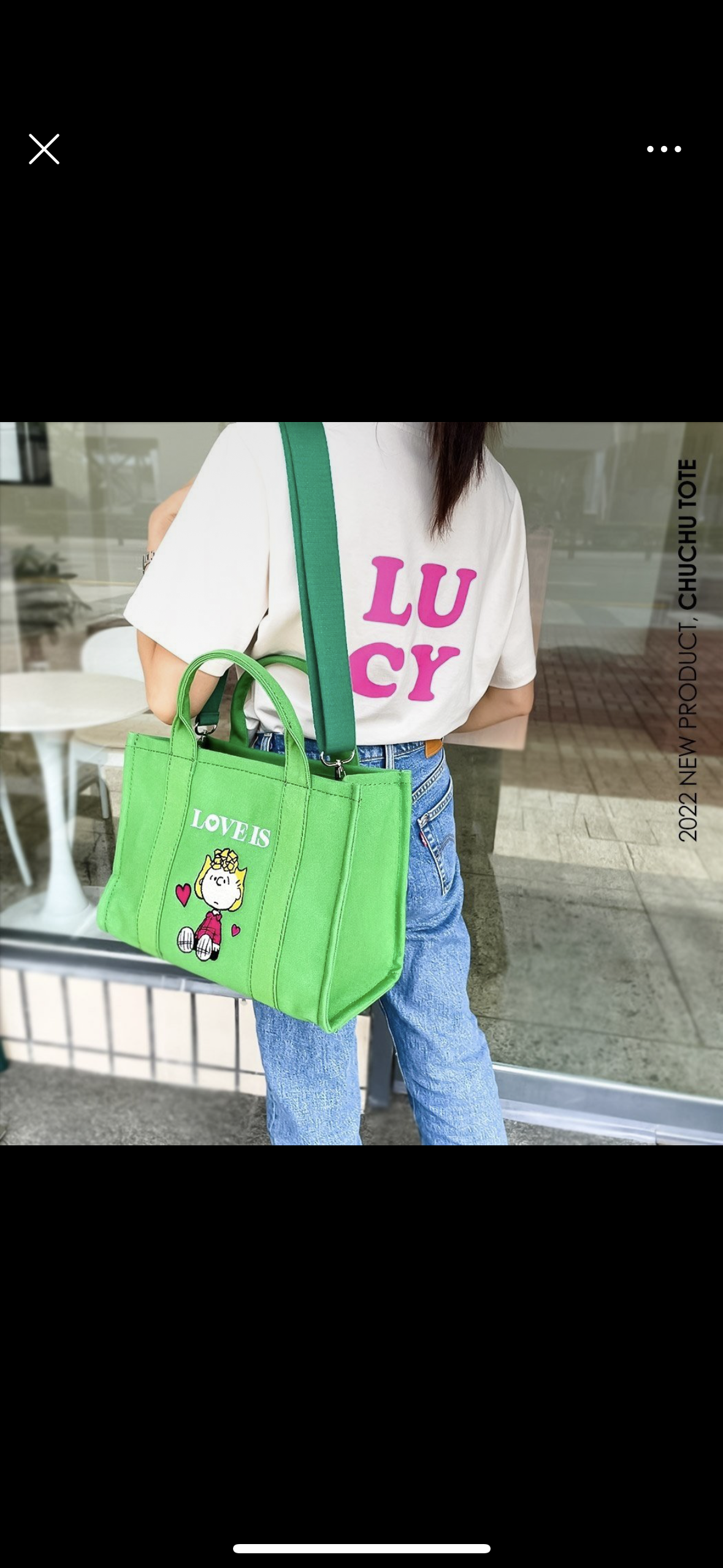Love is Peanuts multipocket tote snoopy &friends